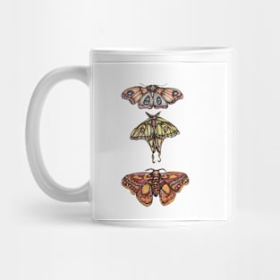 Moth Collection Mug